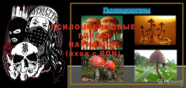 гашиш Белокуриха