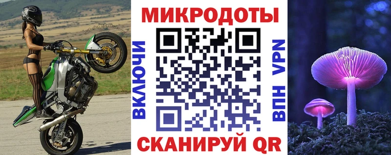 наркотики Кондопога Псилоцибиновые грибы ЛСД